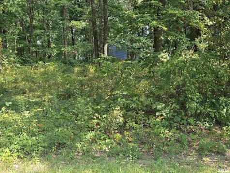 0000 White Birch Court Benton IL 62812