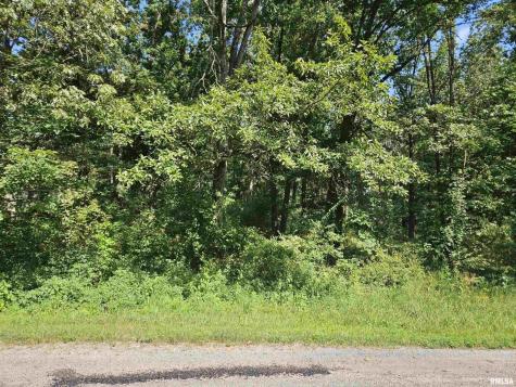 0000 White Birch Court Benton IL 62812