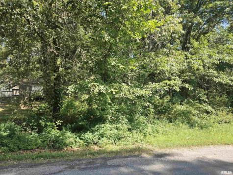 0000 White Birch Court Benton IL 62812
