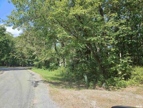 0000 White Birch Court Benton IL 62812