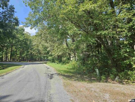 0000 White Birch Court Benton IL 62812