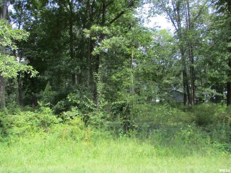 0000 White Birch Court Benton IL 62812