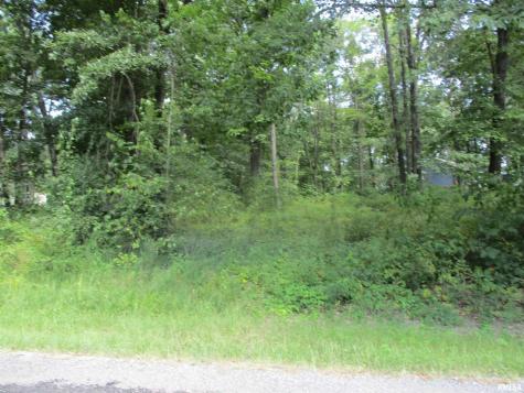 0000 White Birch Court Benton IL 62812
