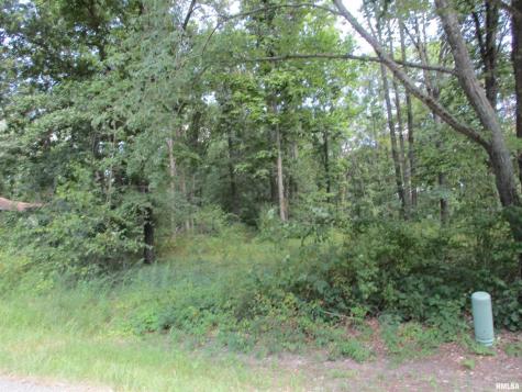 0000 White Birch Court Benton IL 62812