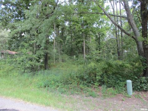 0000 White Birch Court Benton IL 62812