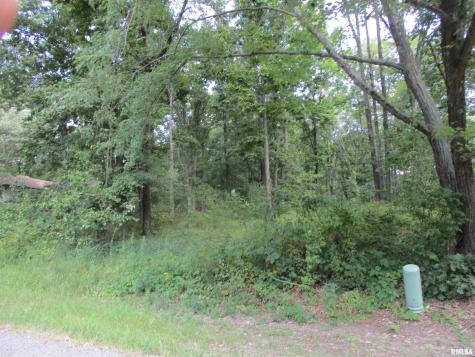 0000 White Birch Court Benton IL 62812