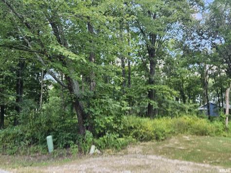 0000 White Birch Court Benton IL 62812