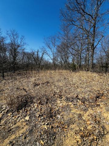 15001 15000 Road Pembroke Twp IL 60958