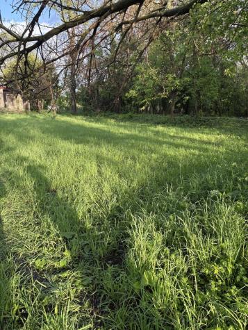 13523 South Sawyer Avenue Robbins IL 60472