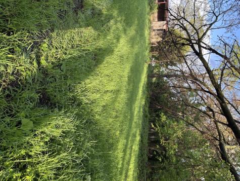 13523 South Sawyer Avenue Robbins IL 60472