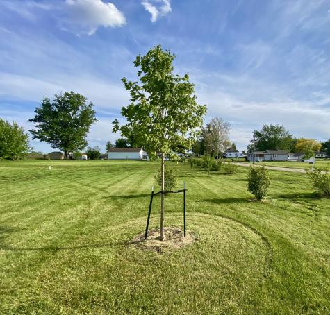 301 South Maple Street Wyanet IL 61379