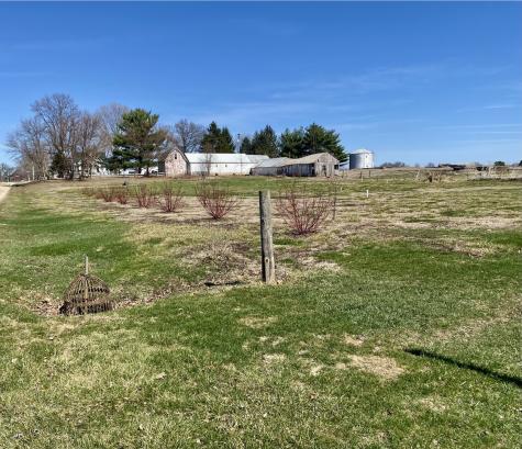 301 South Maple Street Wyanet IL 61379