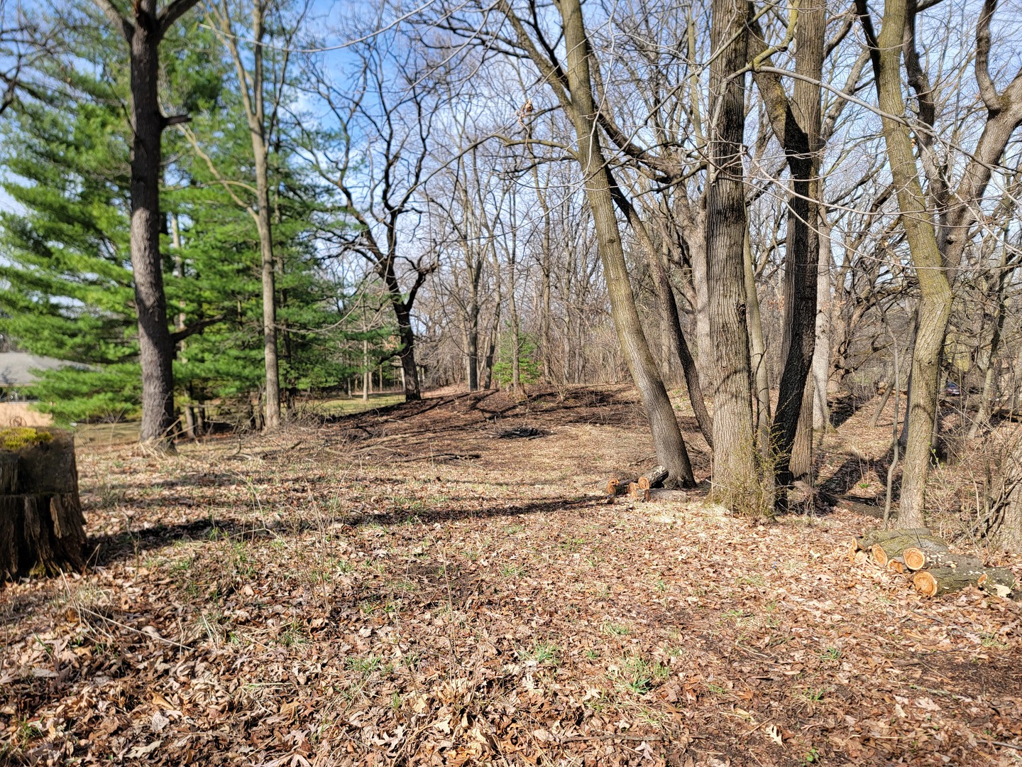 0000 Newbold Road Cary IL 60013