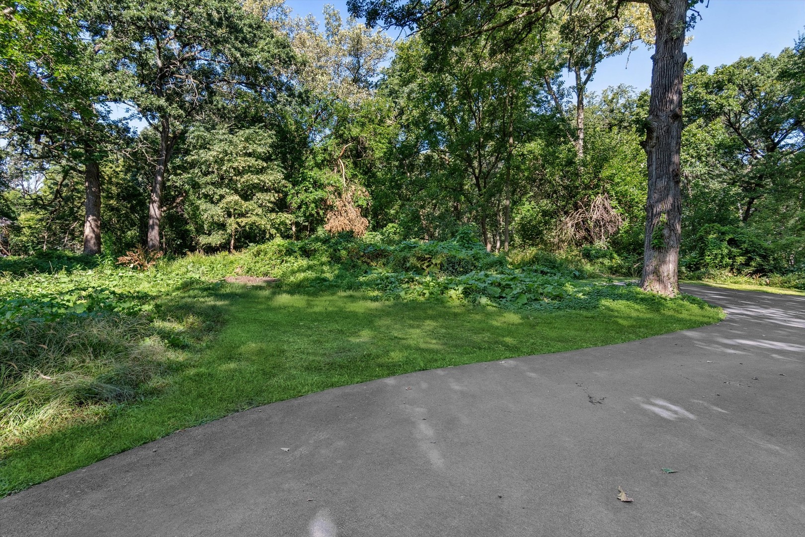 25 W 500 Royce Road Naperville IL 60565