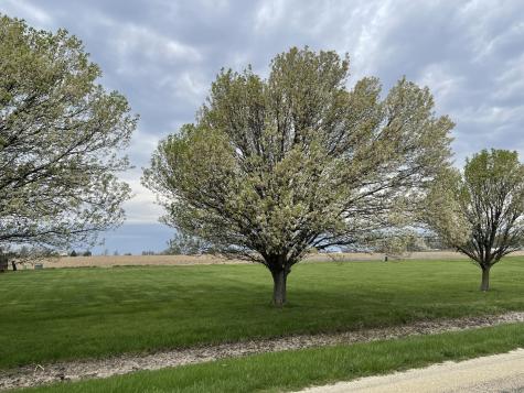 Lot 6 South 16000 W Road Buckingham IL 60917