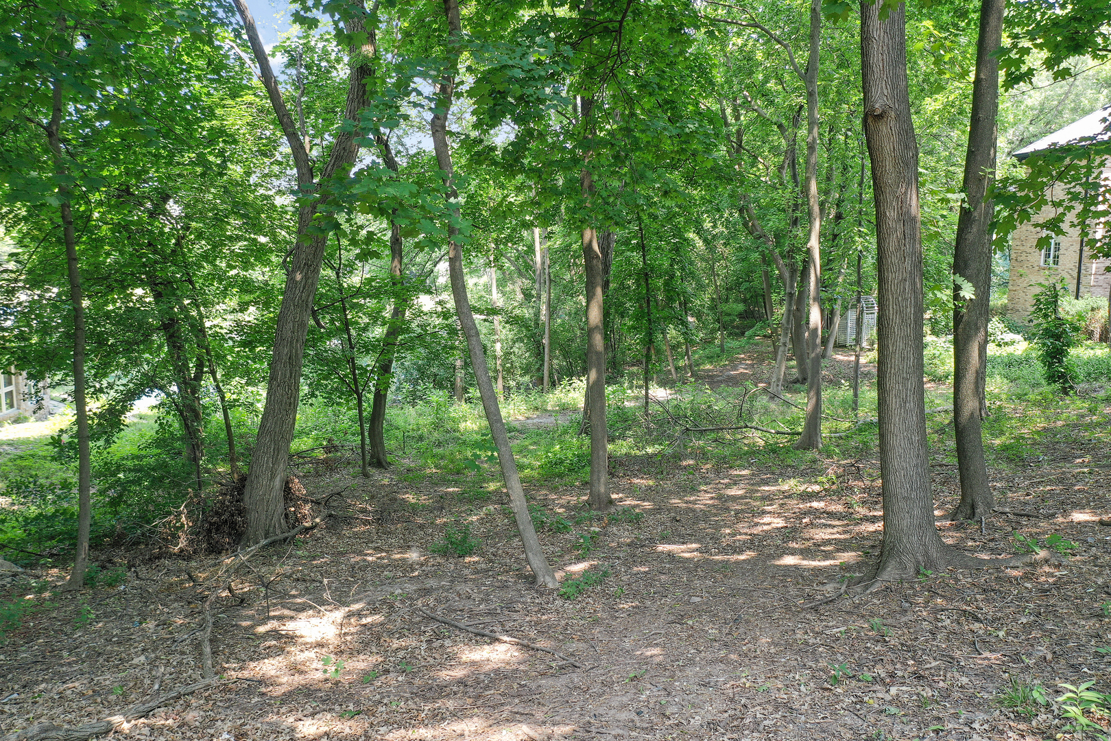 910 Saint Stephens Green Oak Brook IL 60523