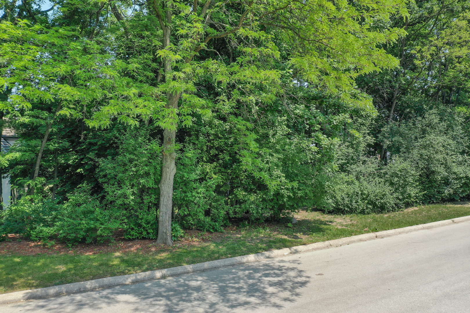 910 Saint Stephens Green Oak Brook IL 60523