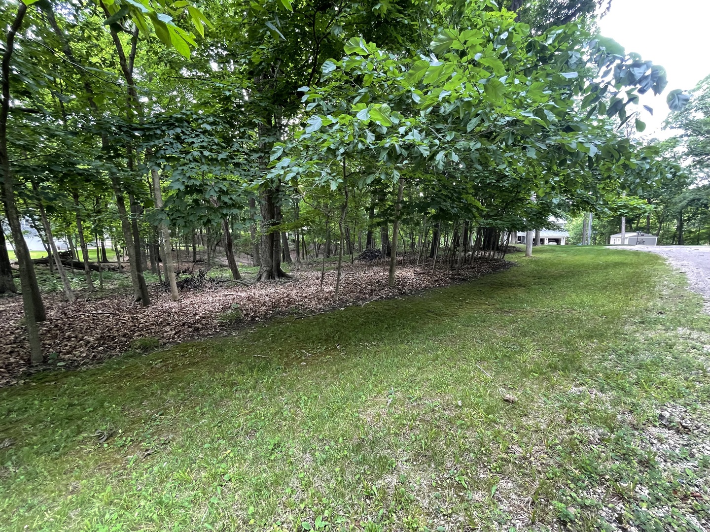 1105 Jay Court Varna IL 61375