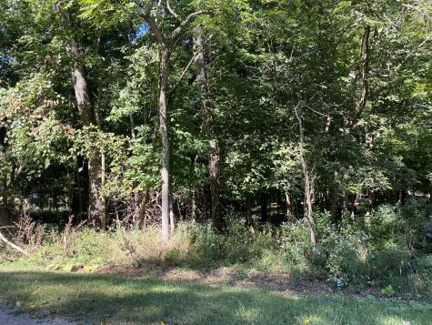 1105 Jay Court Varna IL 61375