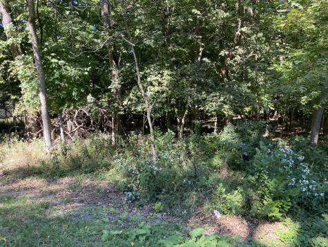 1105 Jay Court Varna IL 61375