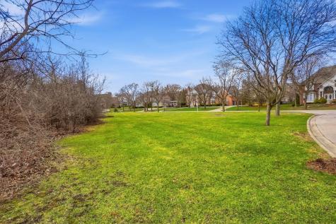 9045 Turnberry Drive Burr Ridge IL 60527