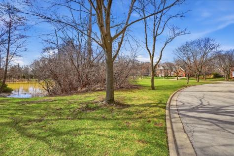 9045 Turnberry Drive Burr Ridge IL 60527