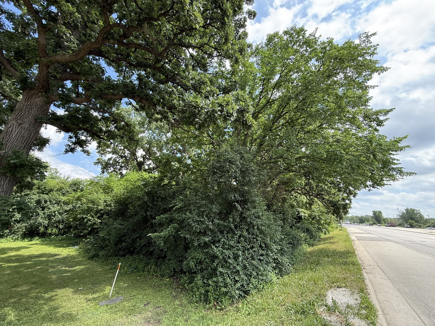 211 North Il-83 Highway N Elmhurst IL 60126