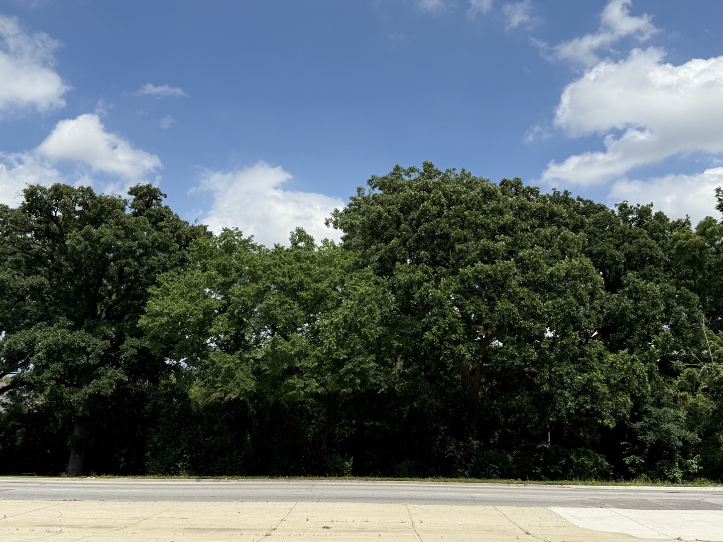 211 North Il-83 Highway N Elmhurst IL 60126