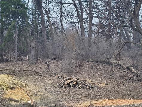 LOT 2 Asbury Avenue Fox River Grove IL 60021