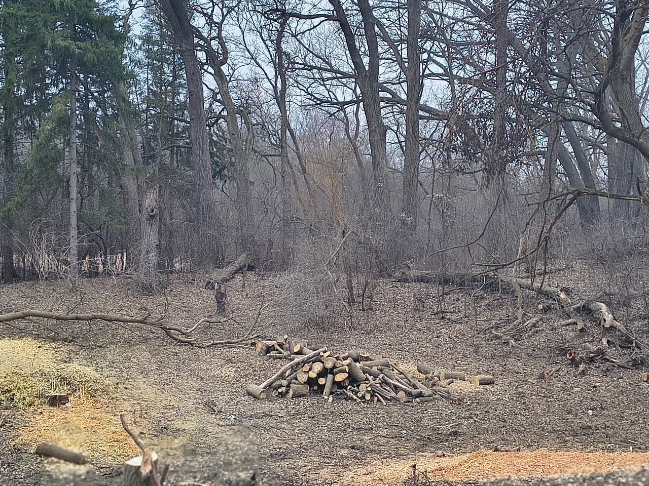 LOT 2 Asbury Avenue Fox River Grove IL 60021