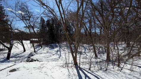 LOT 2 Asbury Avenue Fox River Grove IL 60021
