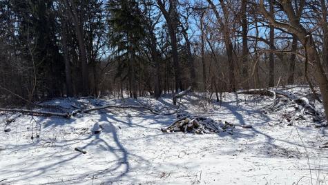 LOT 2 Asbury Avenue Fox River Grove IL 60021
