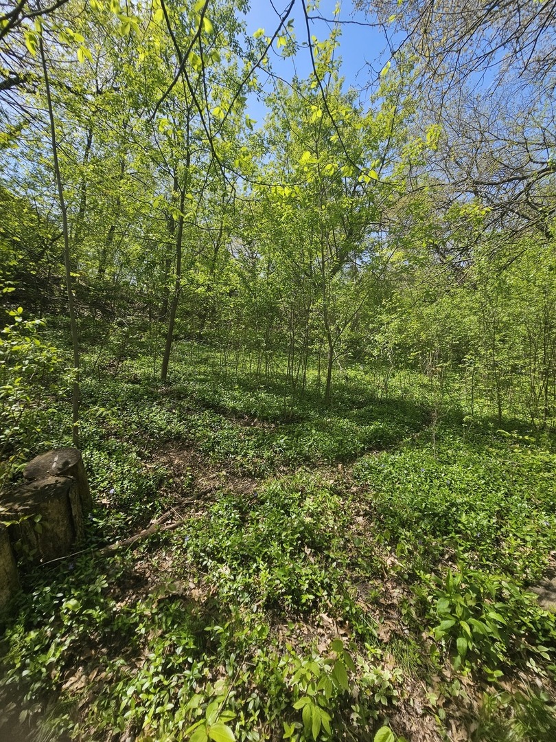 38581 North Hillandale Drive Spring Grove IL 60081