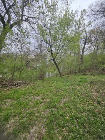 38581 North Hillandale Drive Spring Grove IL 60081