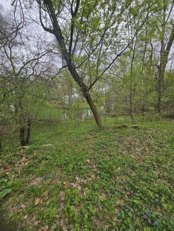 38581 North Hillandale Drive Spring Grove IL 60081