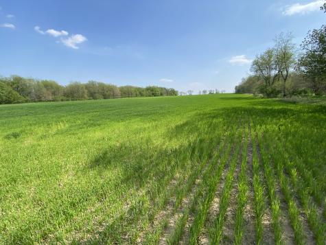 0000 Higgins Road Hampshire IL 60140