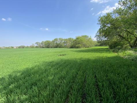 0000 Higgins Road Hampshire IL 60140