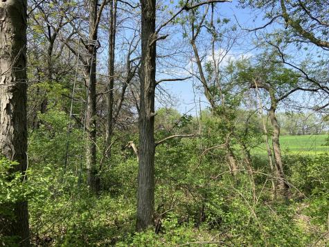 0000 Higgins Road Hampshire IL 60140