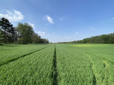 0000 Higgins Road Hampshire IL 60140