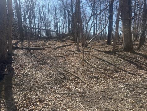 839 Lake Wildwood Drive Varna IL 61375