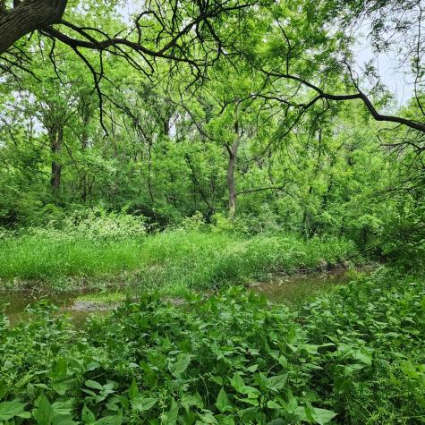Lot 3607 East 1769 Road Ottawa IL 61350