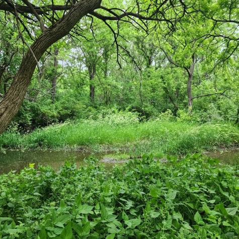 Lot 3607 East 1769 Road Ottawa IL 61350