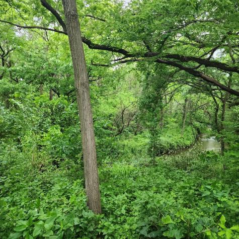 Lot 3607 East 1769 Road Ottawa IL 61350