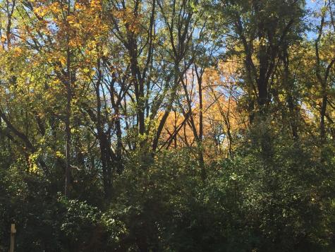 7111 Forest Oak Drive Mchenry IL 60050