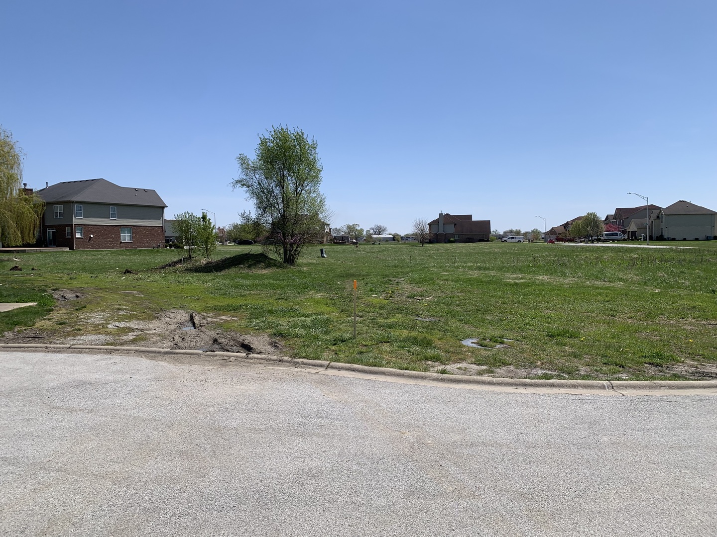 19641 Christina Place Lynwood IL 60411