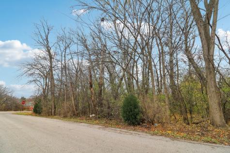 22771 Lake Park Avenue Round Lake Beach IL 60073