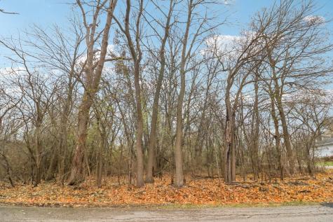 22771 Lake Park Avenue Round Lake Beach IL 60073