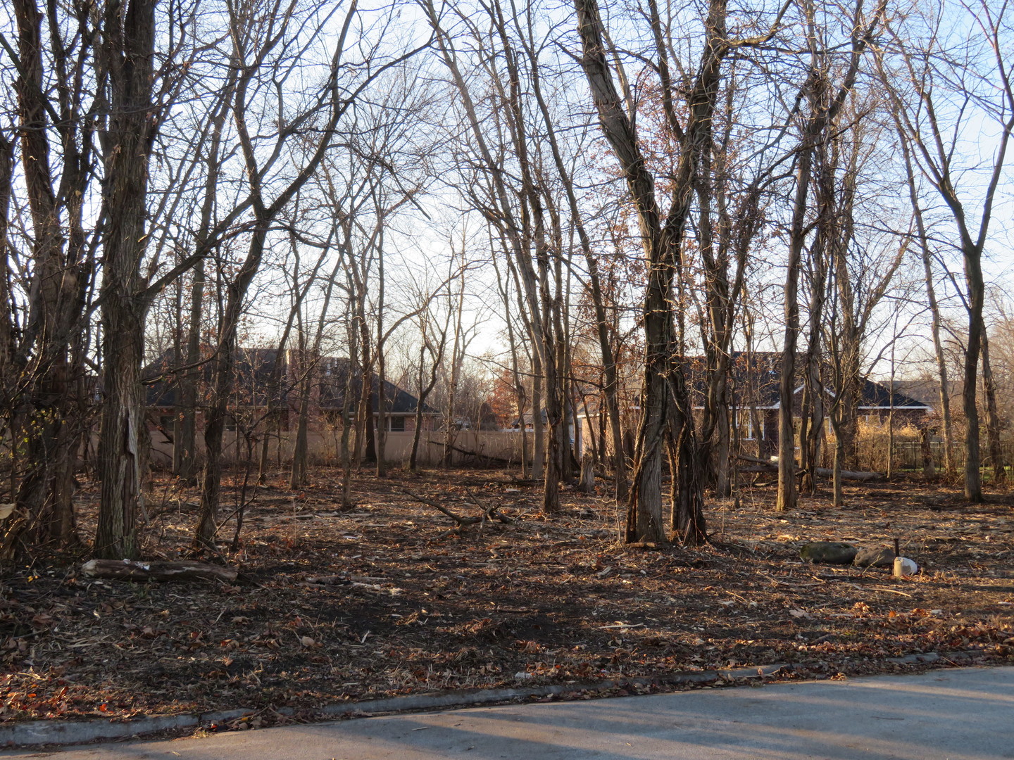 Lot 58 Timber Edge Drive Morris IL 60450