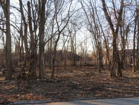Lot 58 Timber Edge Drive Morris IL 60450