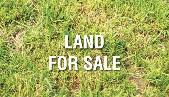 4436 Lee Avenue Downers Grove IL 60515